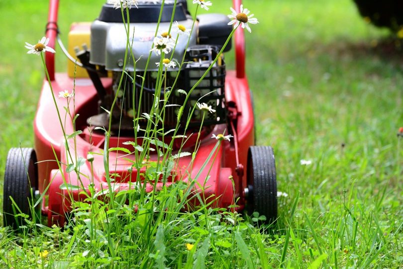 Quelles Sont Les Obligations Du Locataire Dans L Entretien Du Jardin